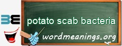 WordMeaning blackboard for potato scab bacteria